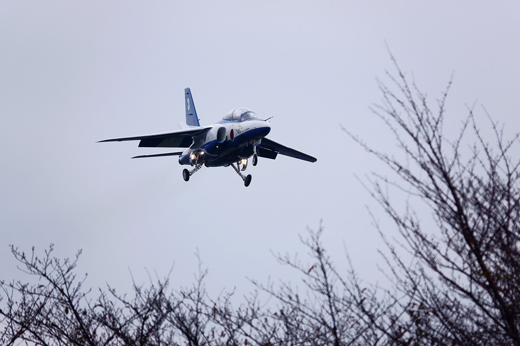 Blue Impulse（入間航空祭2019)