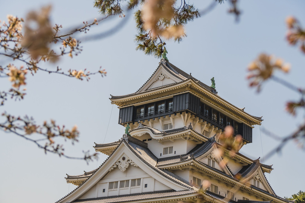 桜と人々を待ちわびる小倉城