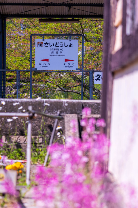 桜の後の採銅所駅