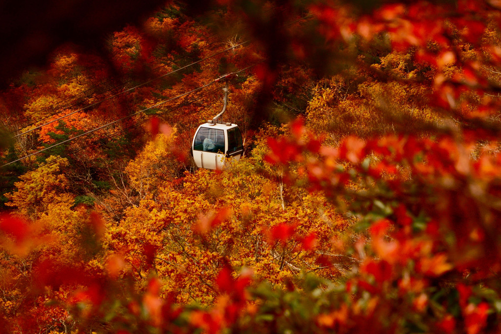 in the  Autumn Leaves　　安達太良山