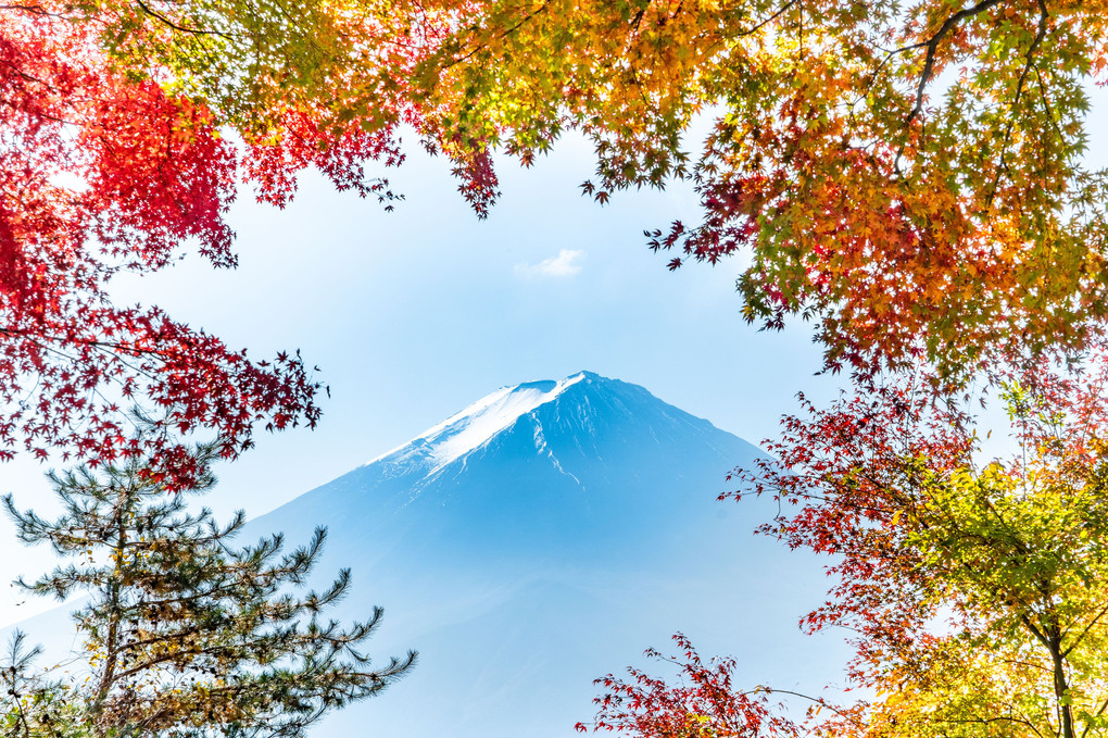富士五湖の紅葉