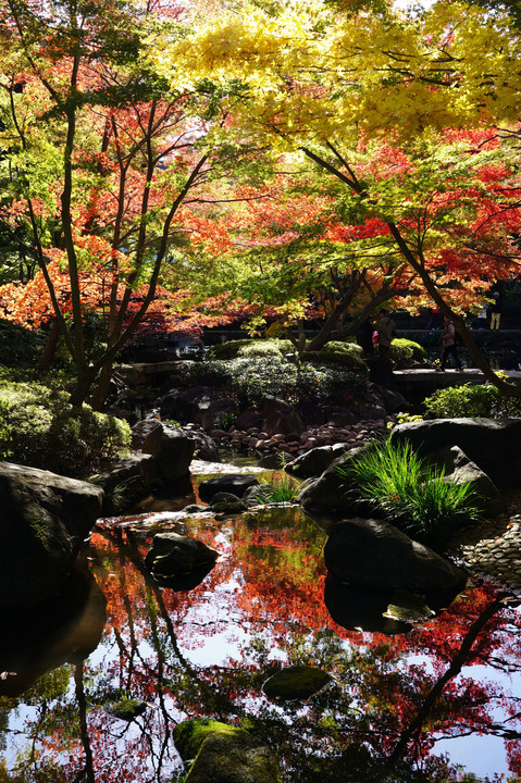 晩秋の公園