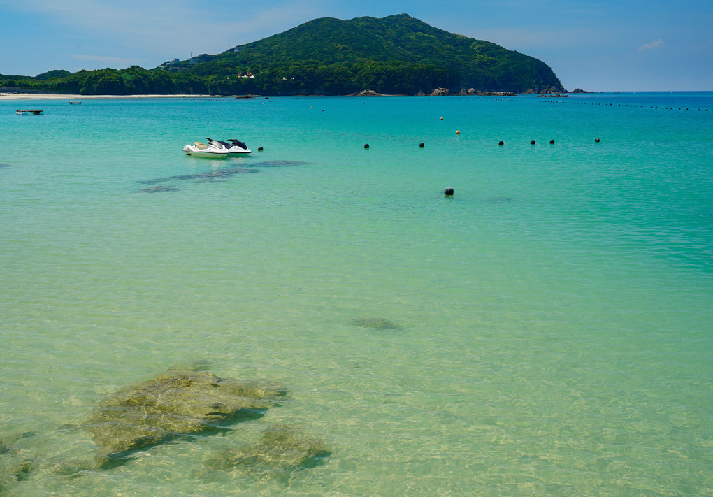 実はこれ、全部三重の海なんです