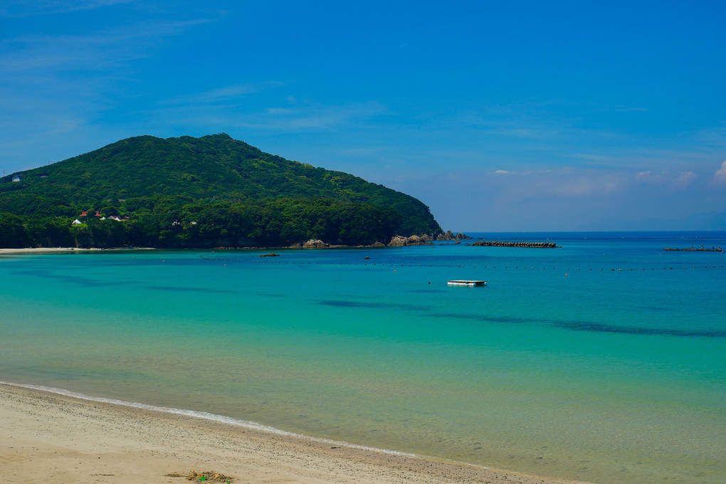 実はこれ、全部三重の海なんです