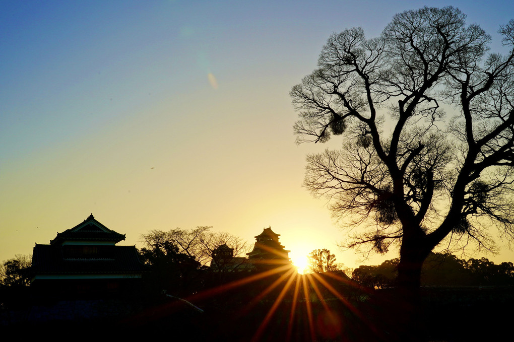 日の出前後の熊本城