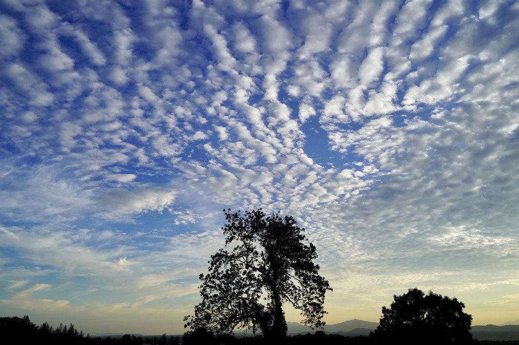 秋空