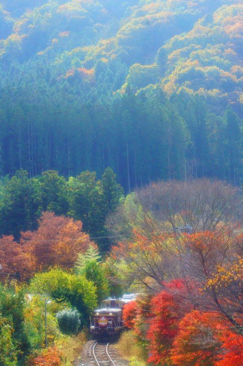 渓谷の秋を走る