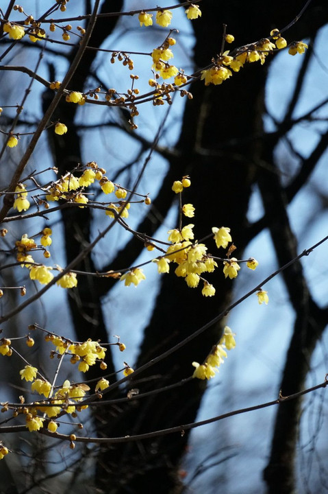 散歩フォトin森林公園