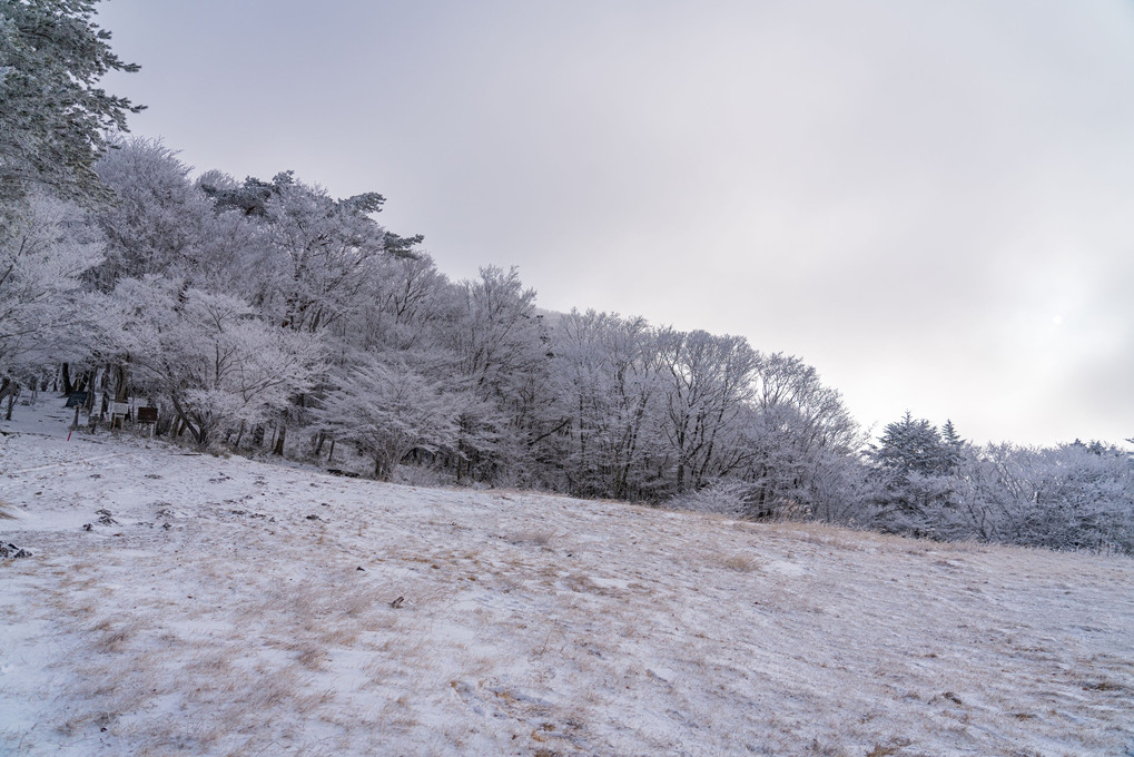 面の木園地の雪景色