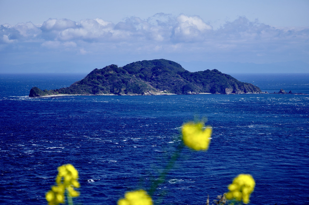 大分県佐賀関海星館より