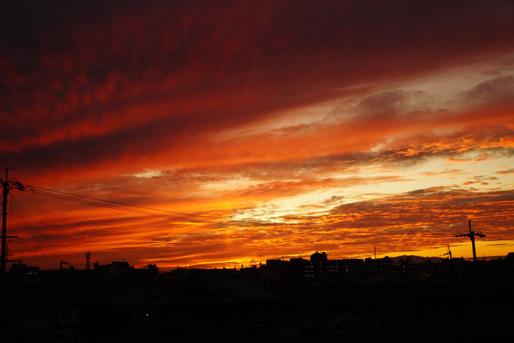 晩秋の夕暮れ