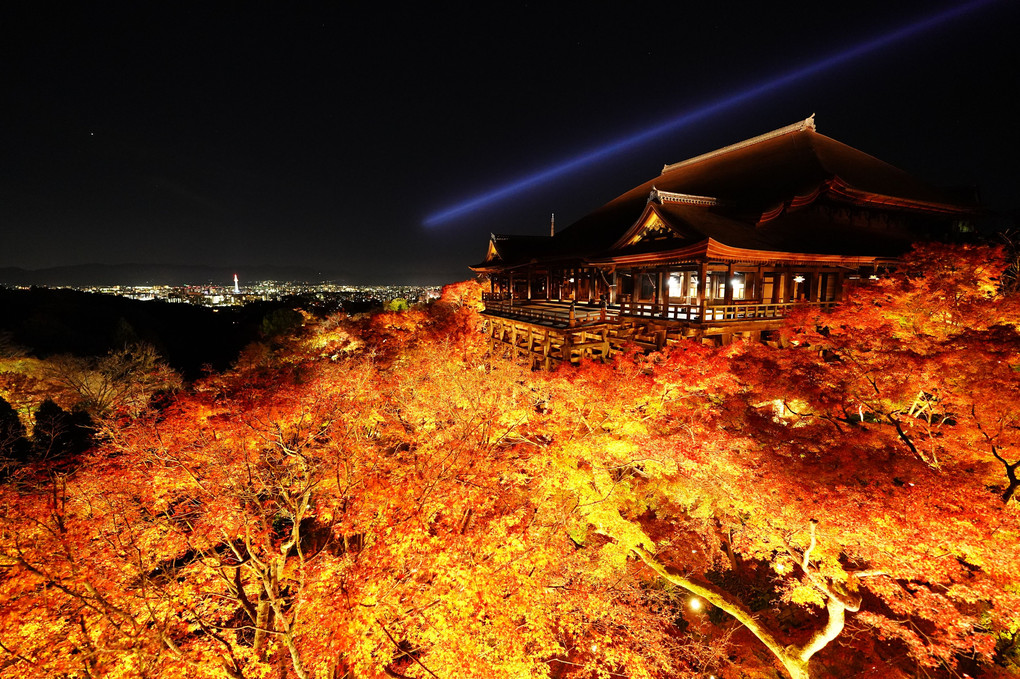 京都の夜