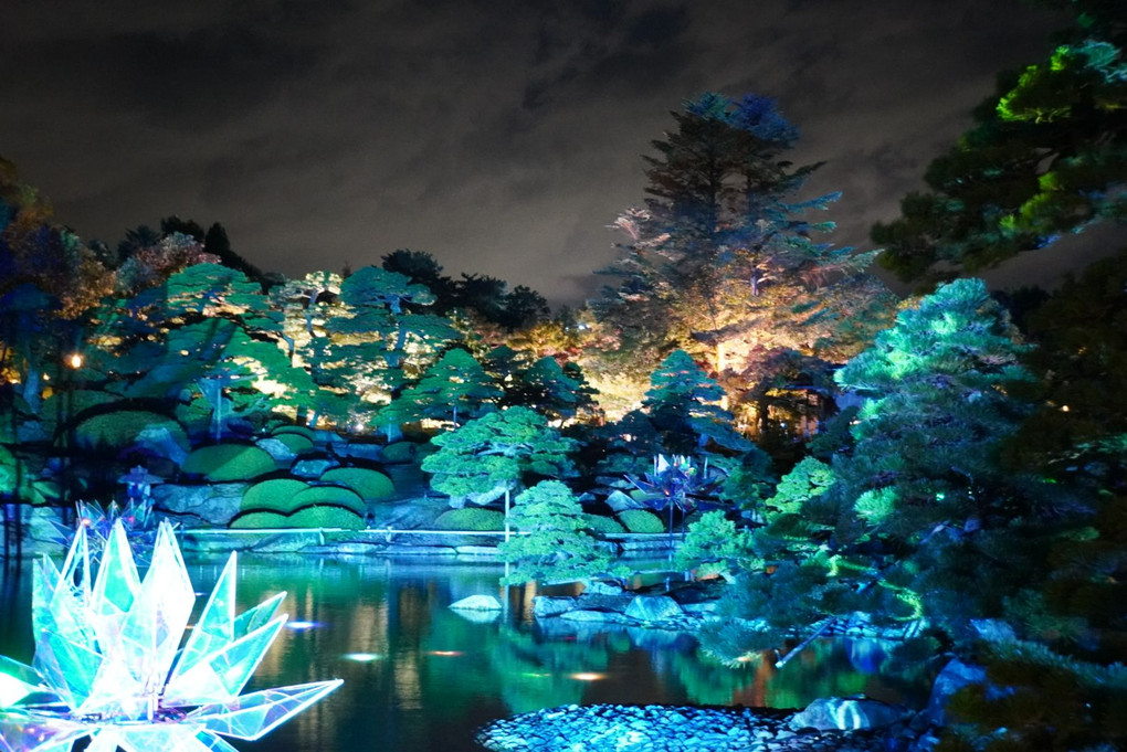 ライトアップされた日本庭園