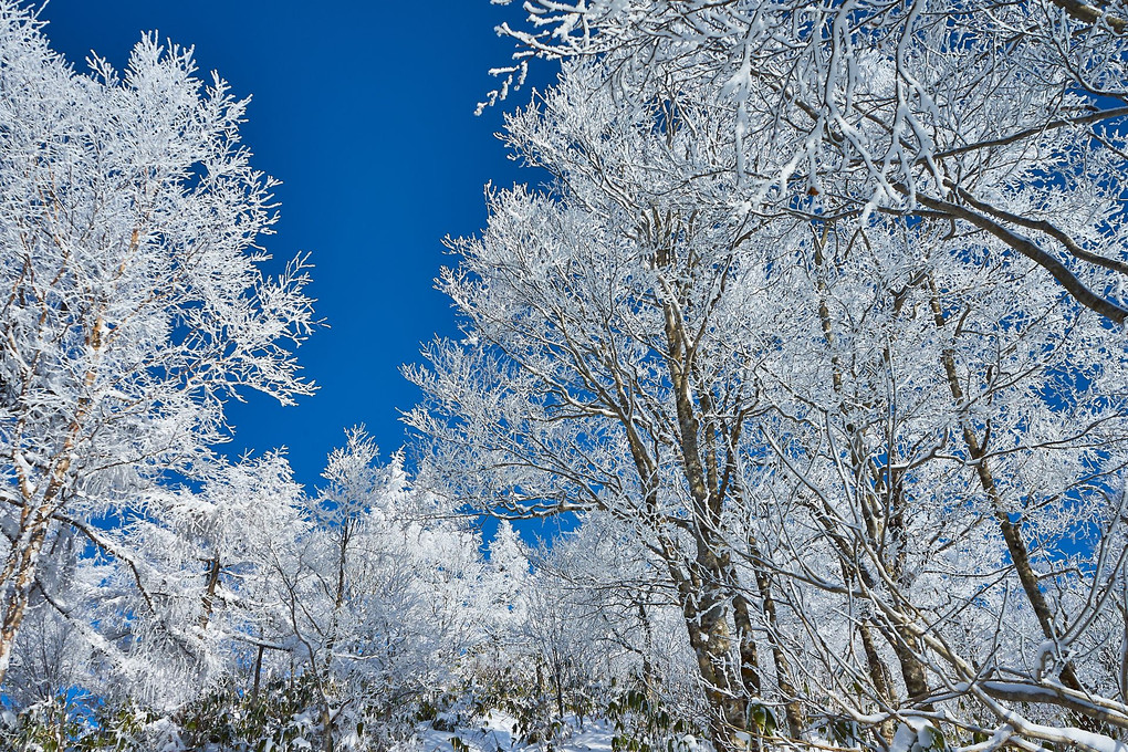 Winter in coral reef