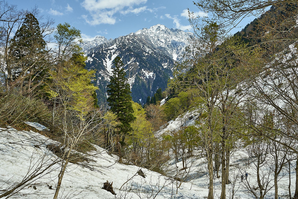 山の初夏