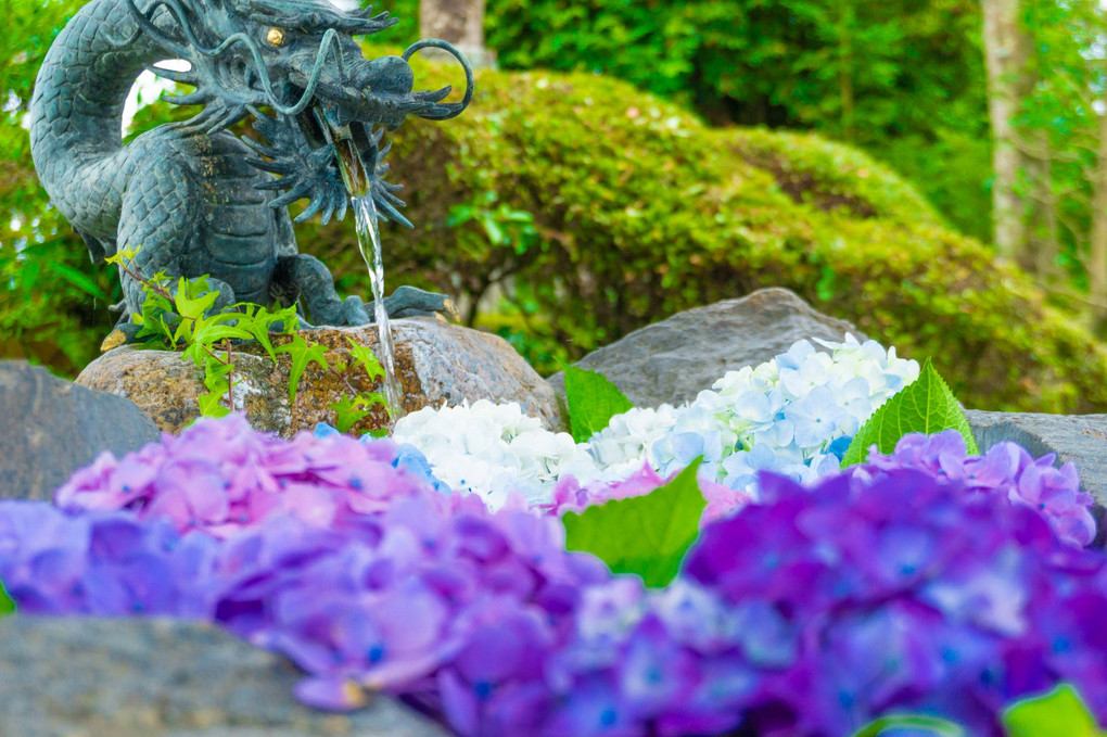 矢川神社の花手水
