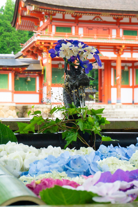 大鳥神社の花手水