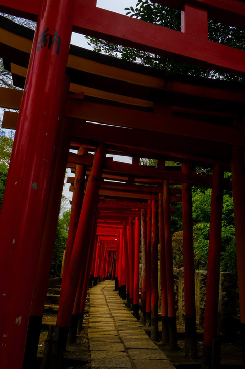 根津神社の鳥居