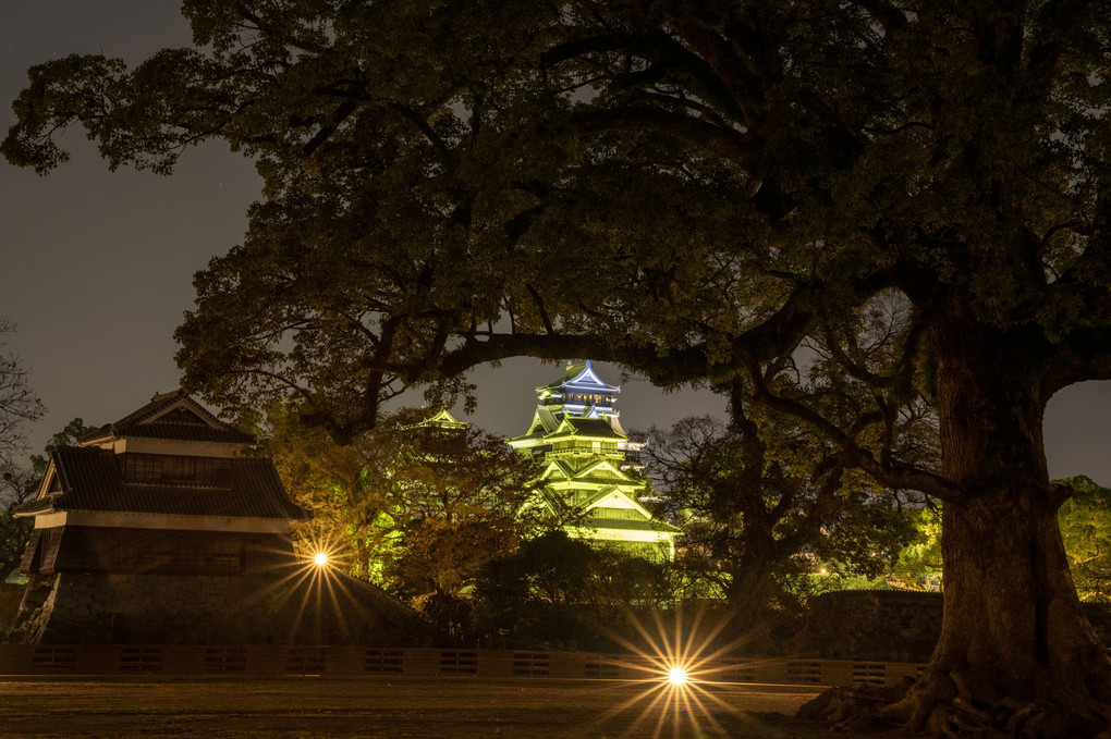 復興再建中の熊本城ライトアップ