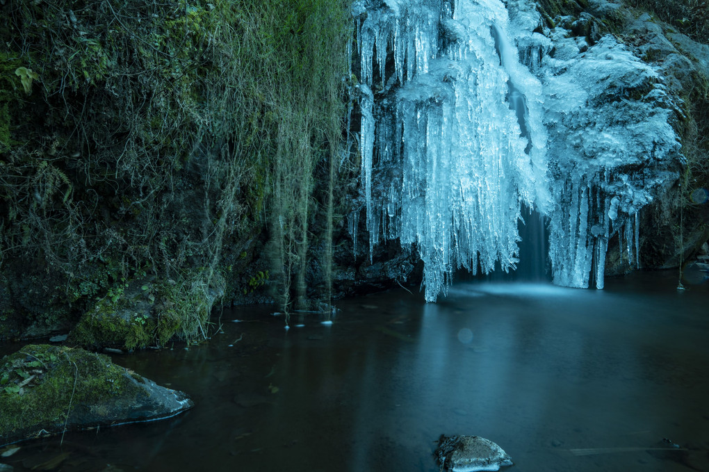早くも凍った古閑の滝