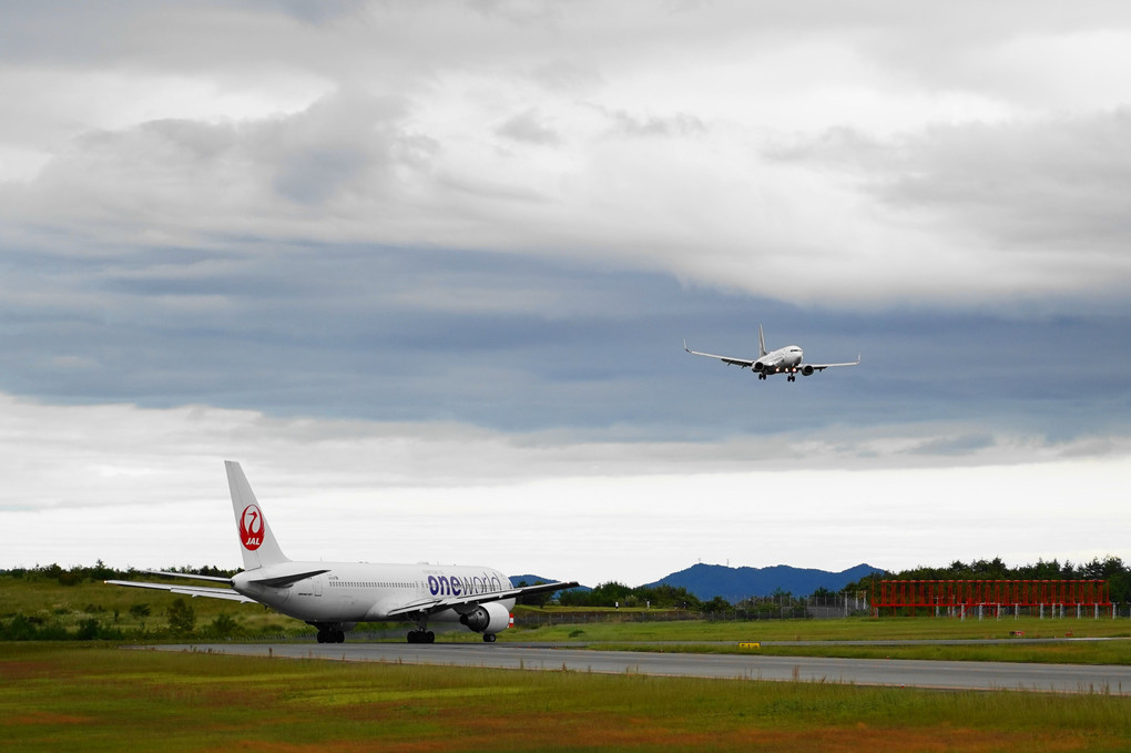 α7Ⅲ初撮影　2019年9月23日