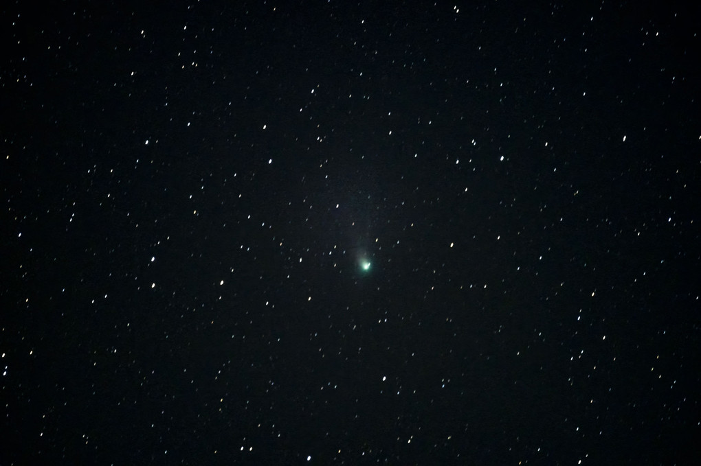 1月22日AM1時のZTF彗星