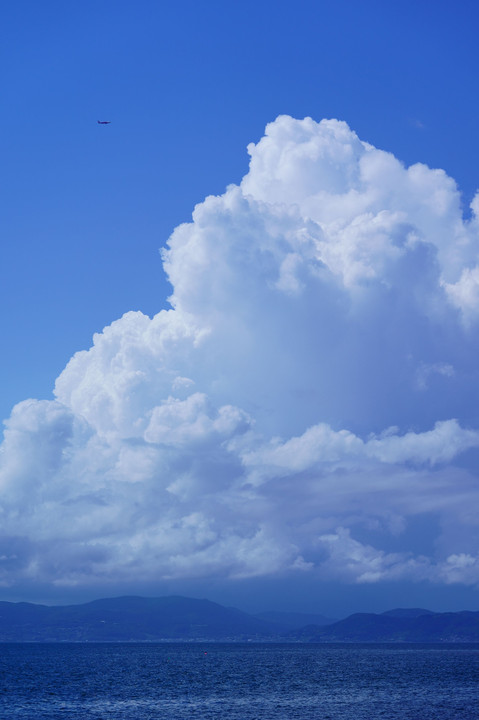 飛行機と夏の雲
