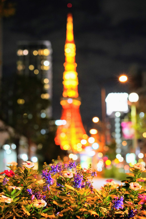 玉ボケで遊ぶ東京タワー