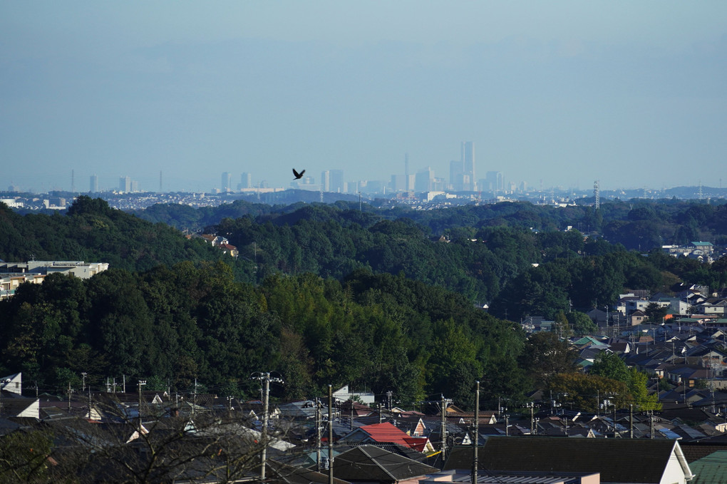 田園風景