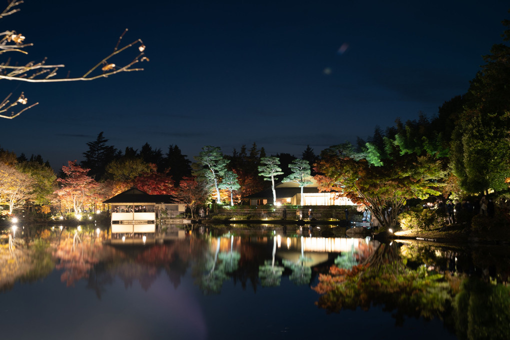 ライトアップされた紅葉の日本庭園