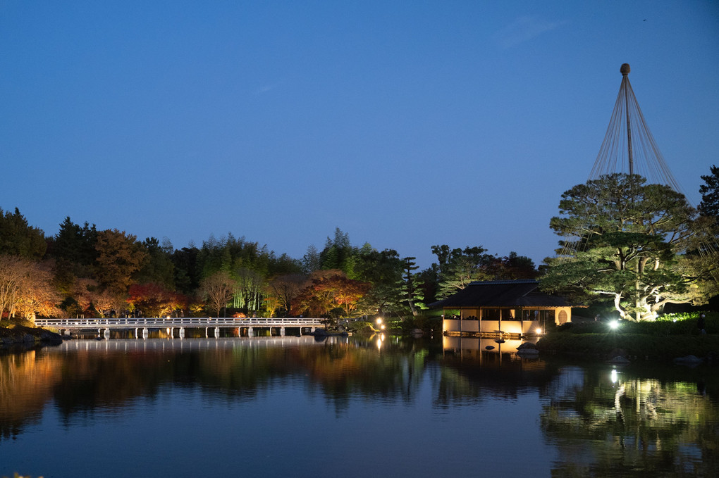 日本庭園の夕景