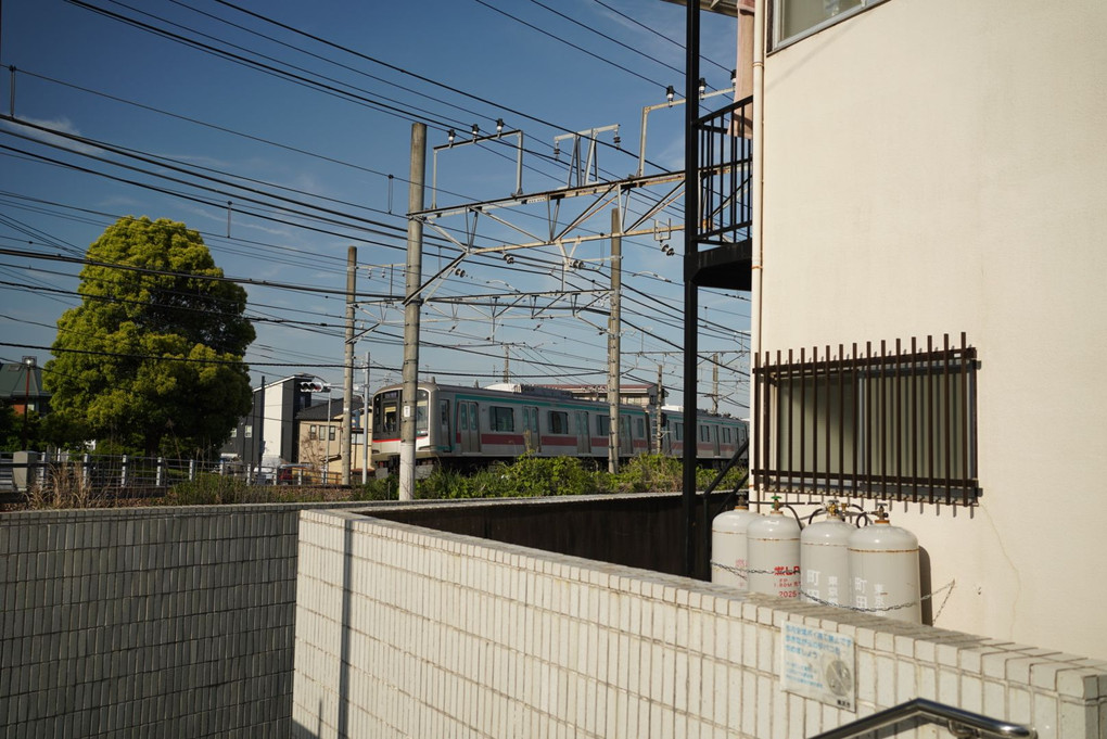 初夏のお散歩