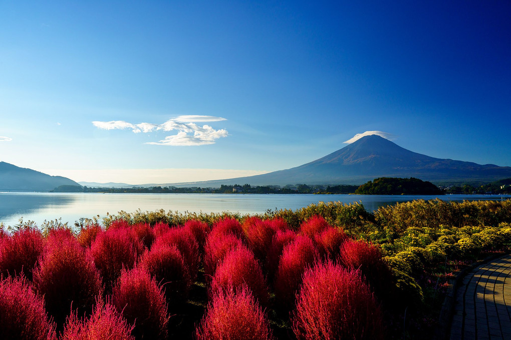 富士山！何て美しいのでしょうか！