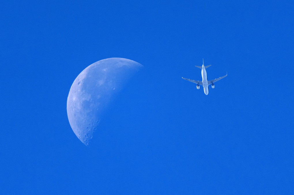 やったー！月と飛行機が撮れました！