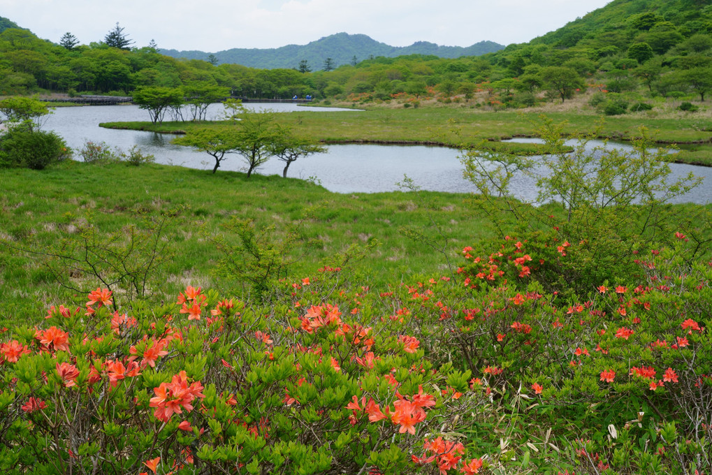 初夏の高原