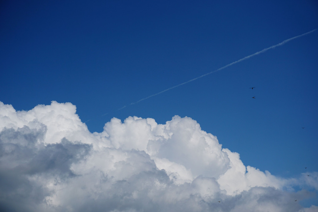 積雲、飛行機雲、蜻蛉