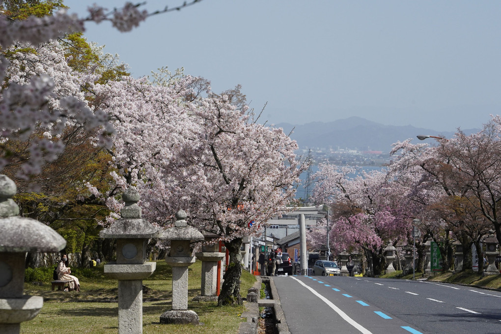 大津市坂本散策