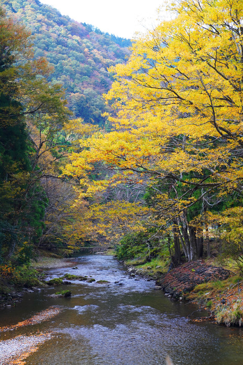 秋深まりゆく渓谷