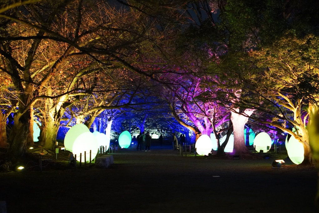 チームラボ 福岡城跡 光の祭