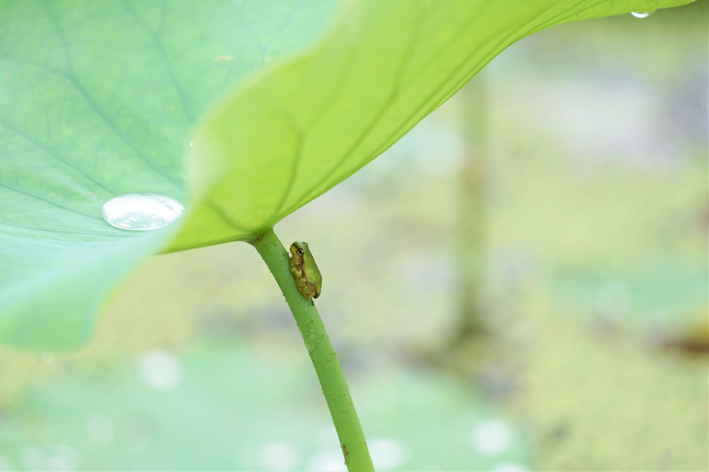 見つかっちゃった~~