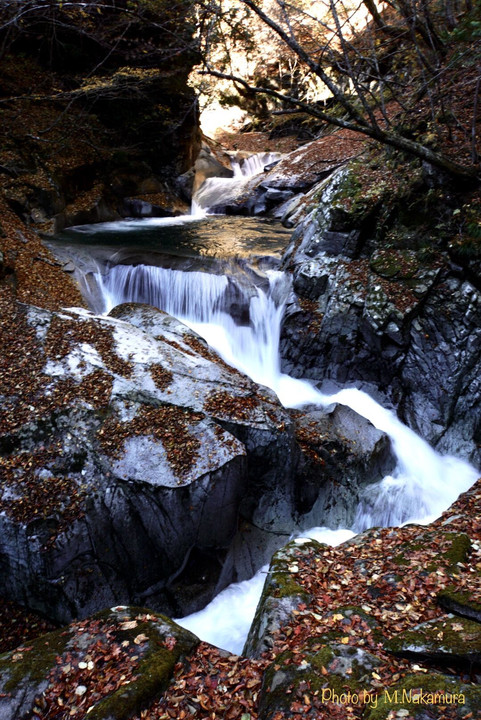 西沢渓谷　三重の滝