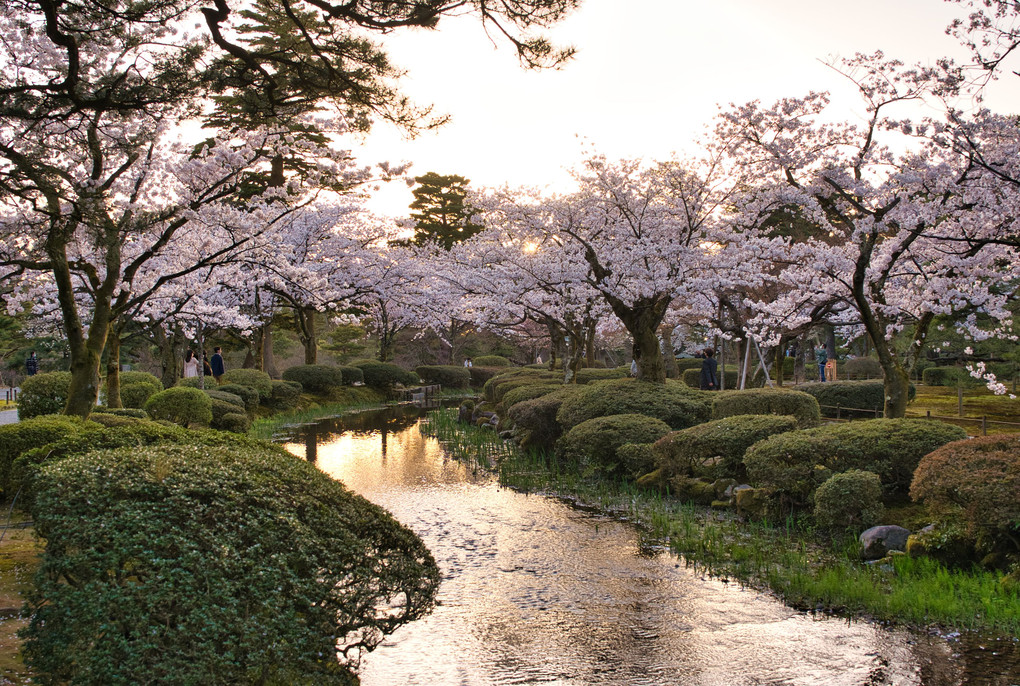 夕陽の兼六園