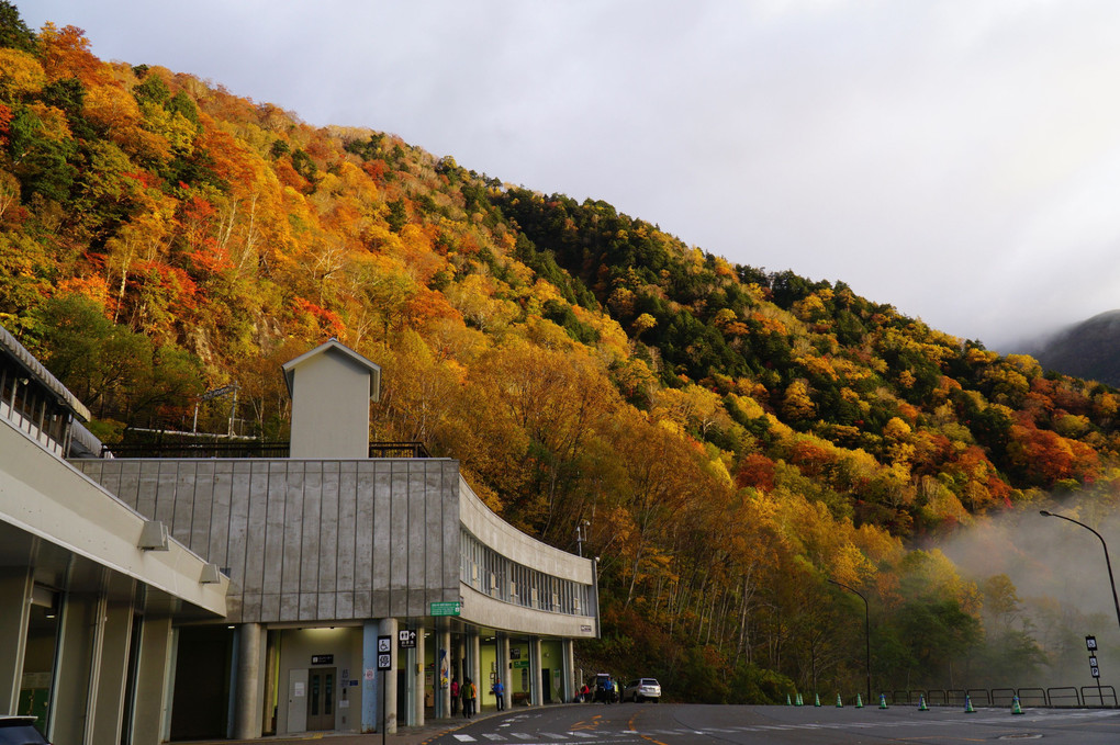 北アルプス 扇沢駅の紅葉