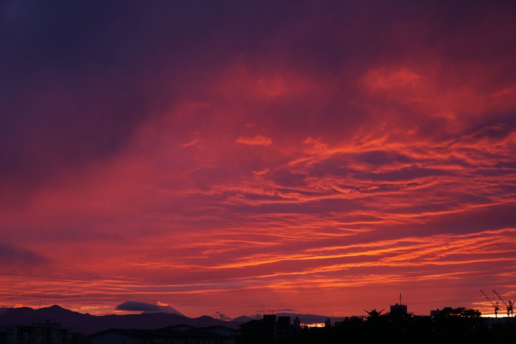 夕焼け