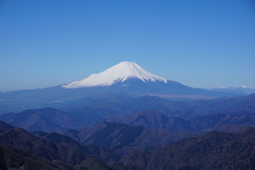 塔ノ岳から望む富士山