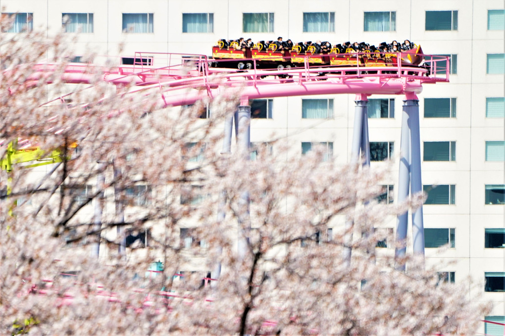 春の遊園地