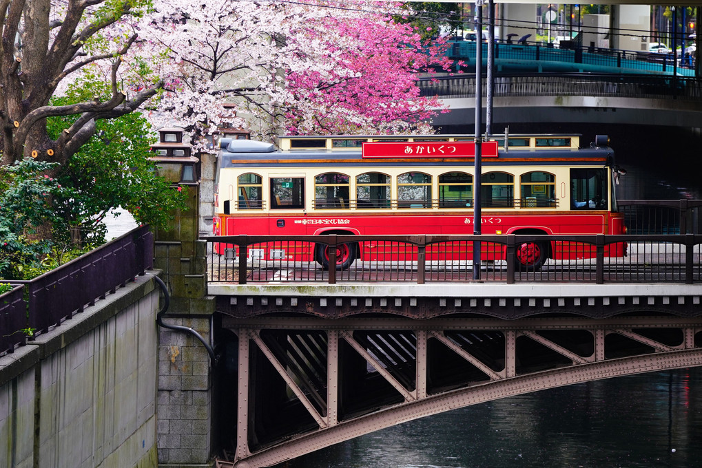 春の横浜観光2022　～谷戸橋～