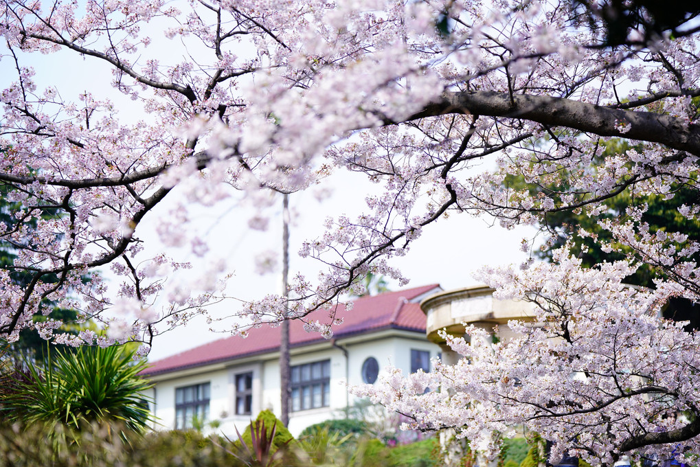 Spring Garden 　～ British House Yokohama ～