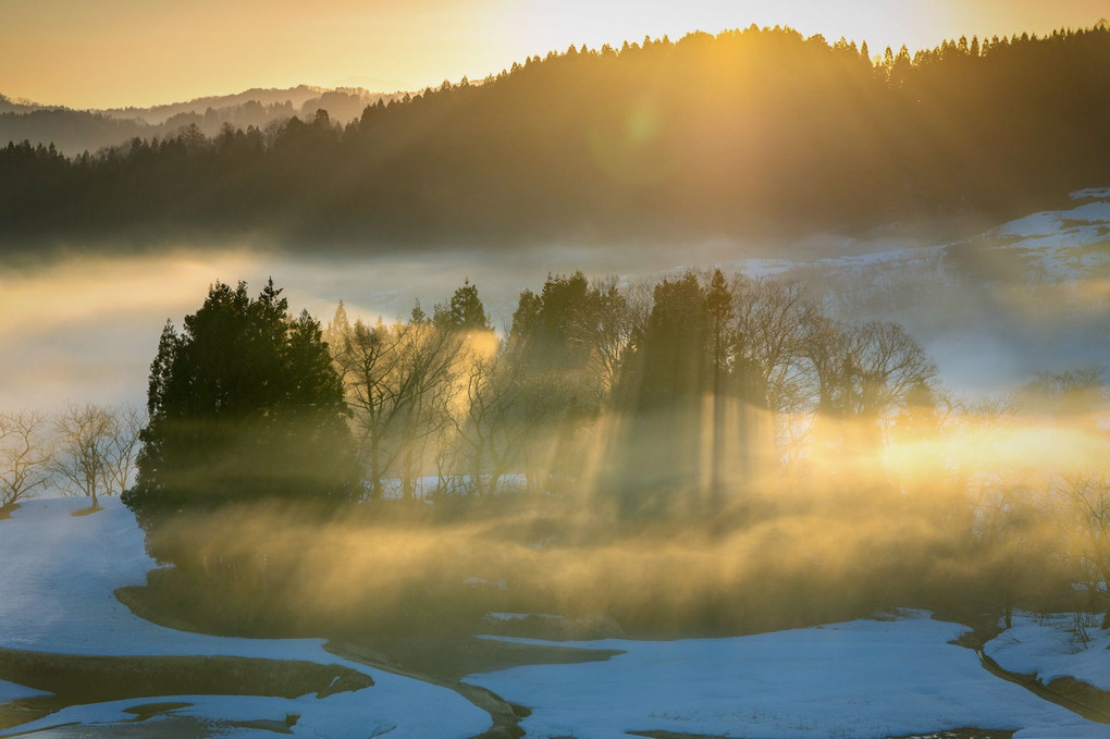 🌄日の出🌄✖︎⛄️残雪の棚田⛄️