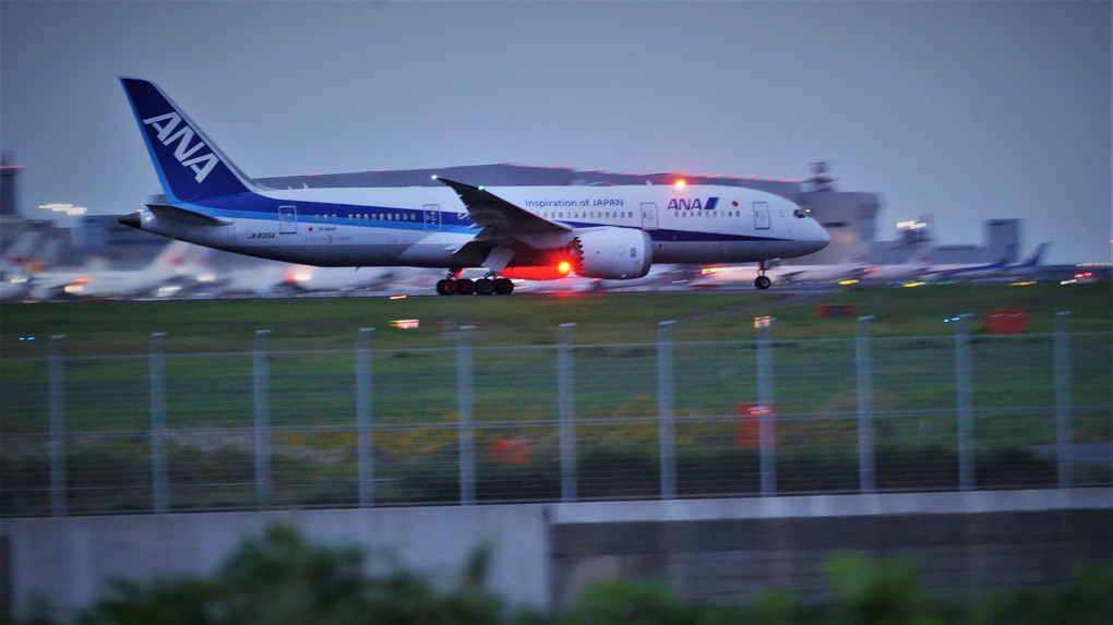 羽田空港を離着陸する飛行機を撮る